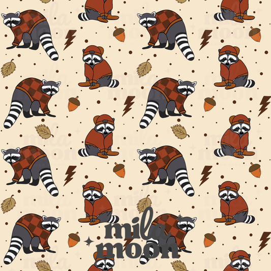 Fall Raccoons